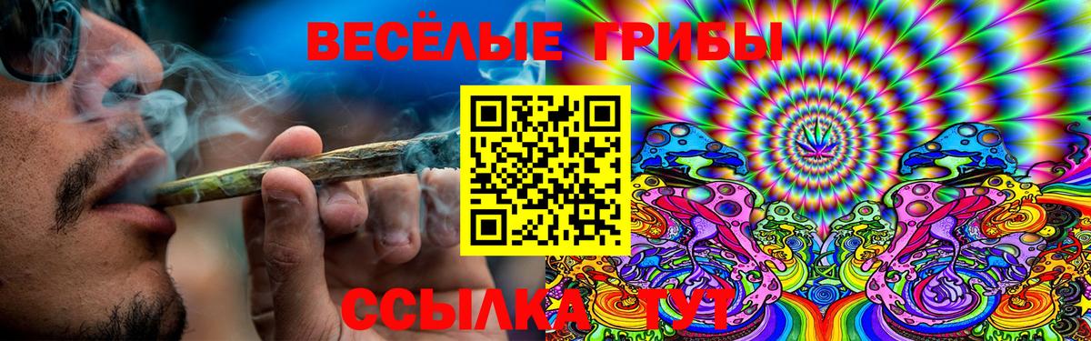 Галлюциногенные грибы мухоморы  Вход с VPN  Королёв 